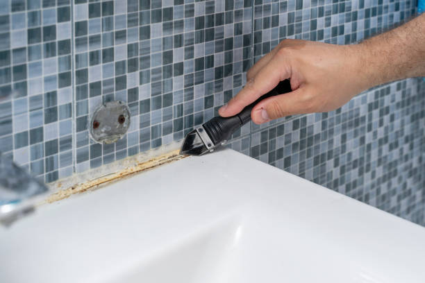  Harbor Isle, NY Mold Removal Pros