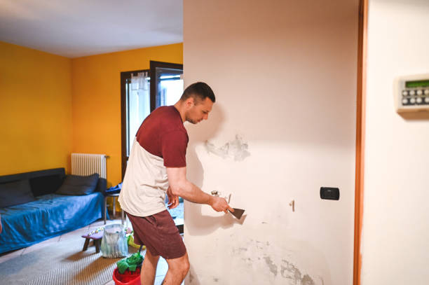 Best Mold Remediation for Schools in Harbor Isle, NY