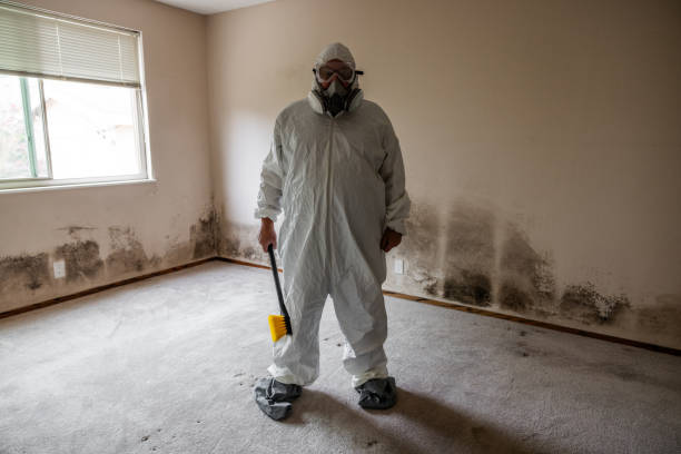 Best HVAC Mold Remediation in Harbor Isle, NY